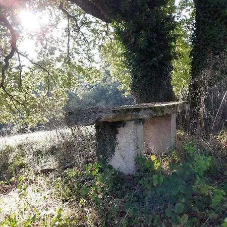 Bed & Breakfast Domaine De Labrousse, En Perigord